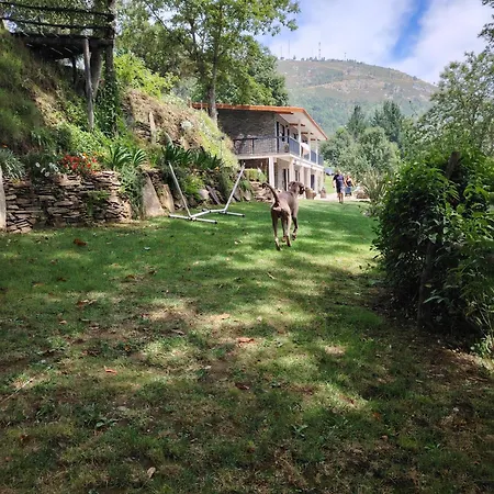 Aldeamento Turístico Viver Montanha